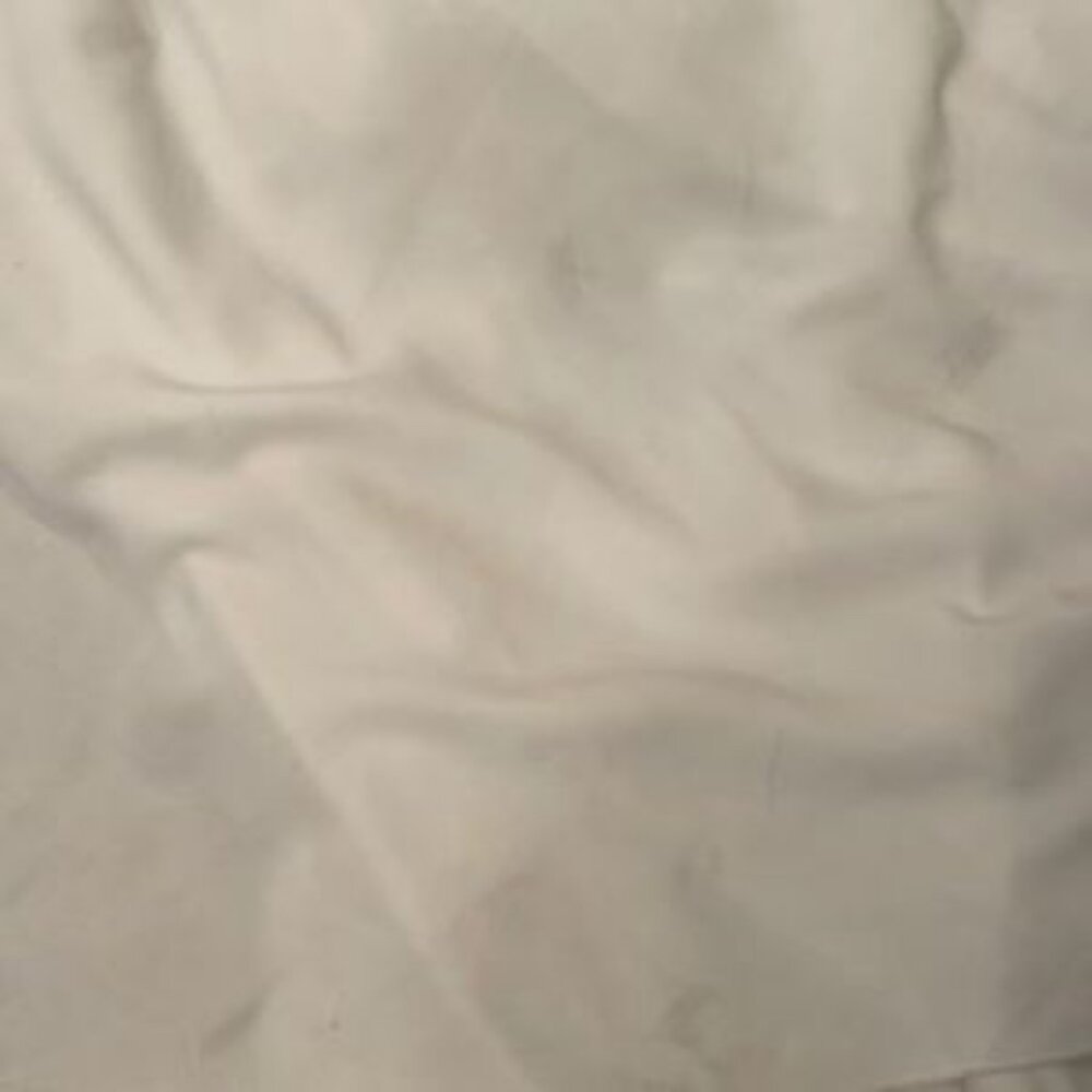 Pronovias Bianca Wedding Gown - Picture 5 of 5